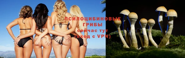 а пвп мука Алзамай