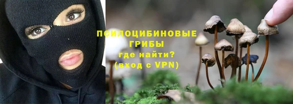 а пвп мука Алзамай