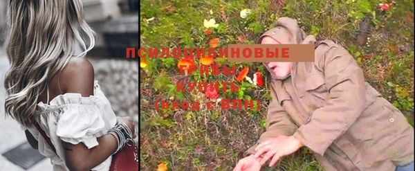 героин Алексин