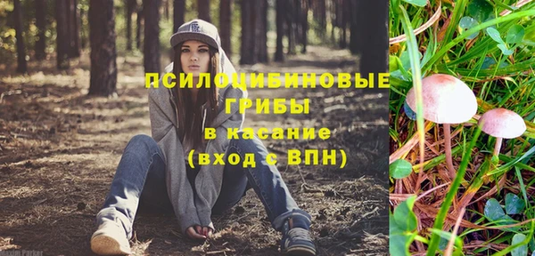 сатива Алексеевка